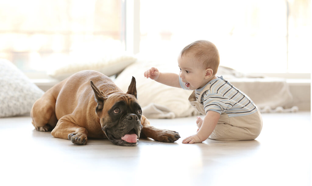 is it safe to have dogs around newborn babies