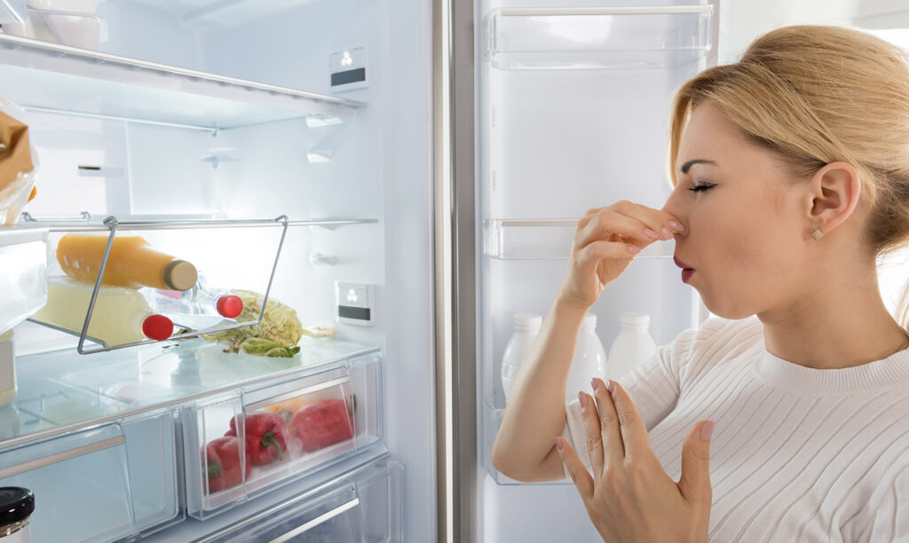 When Your Fridge Smells Bad (Even After Cleaning): 11 Solutions