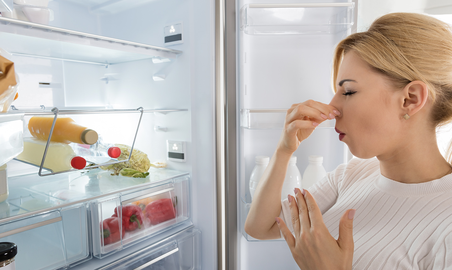 smelly office refrigerator