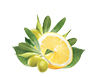 Lemon & Olive Leaves